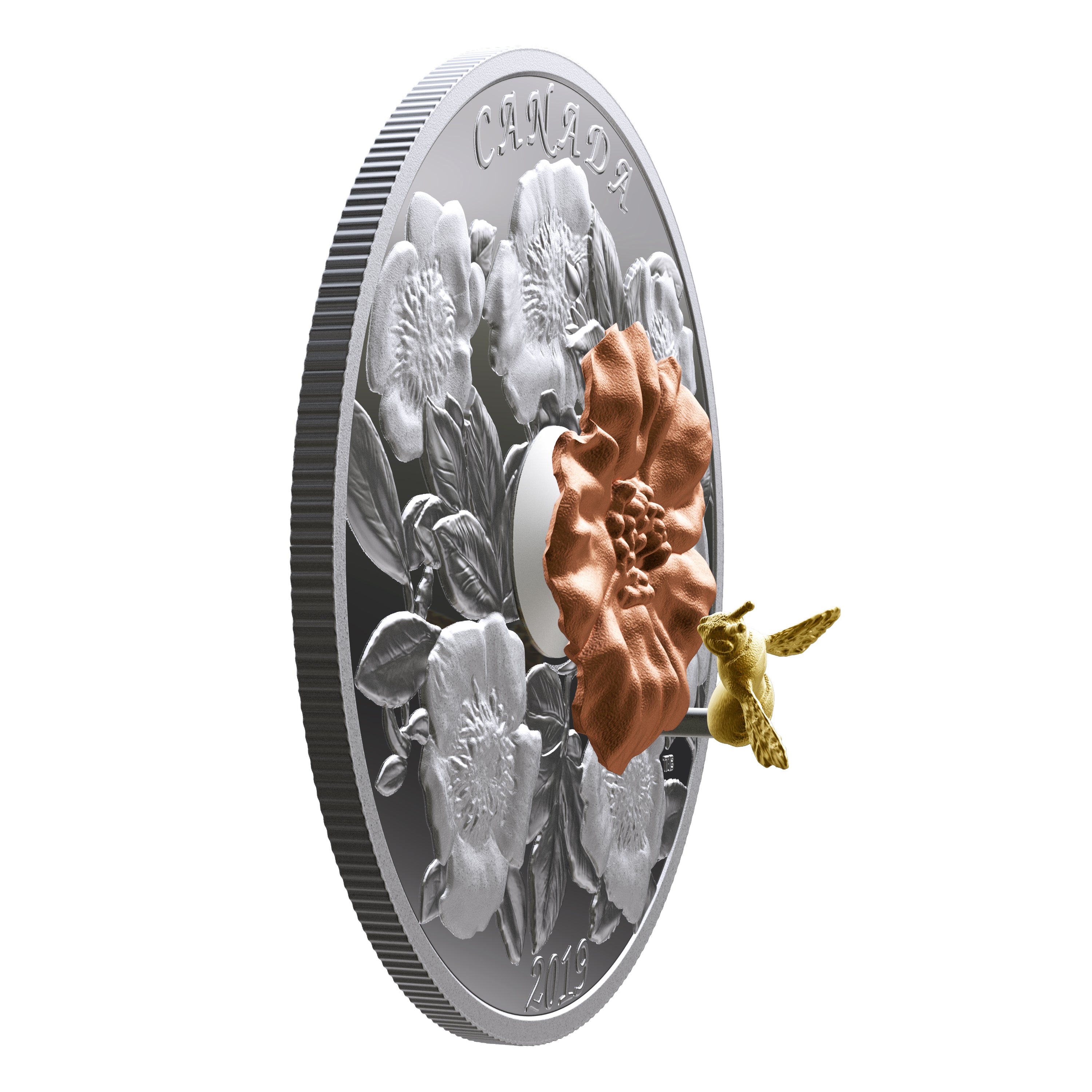 BUMBLE BEE AND BLOOM 5 Oz Silver Coin $50 Canada 2019