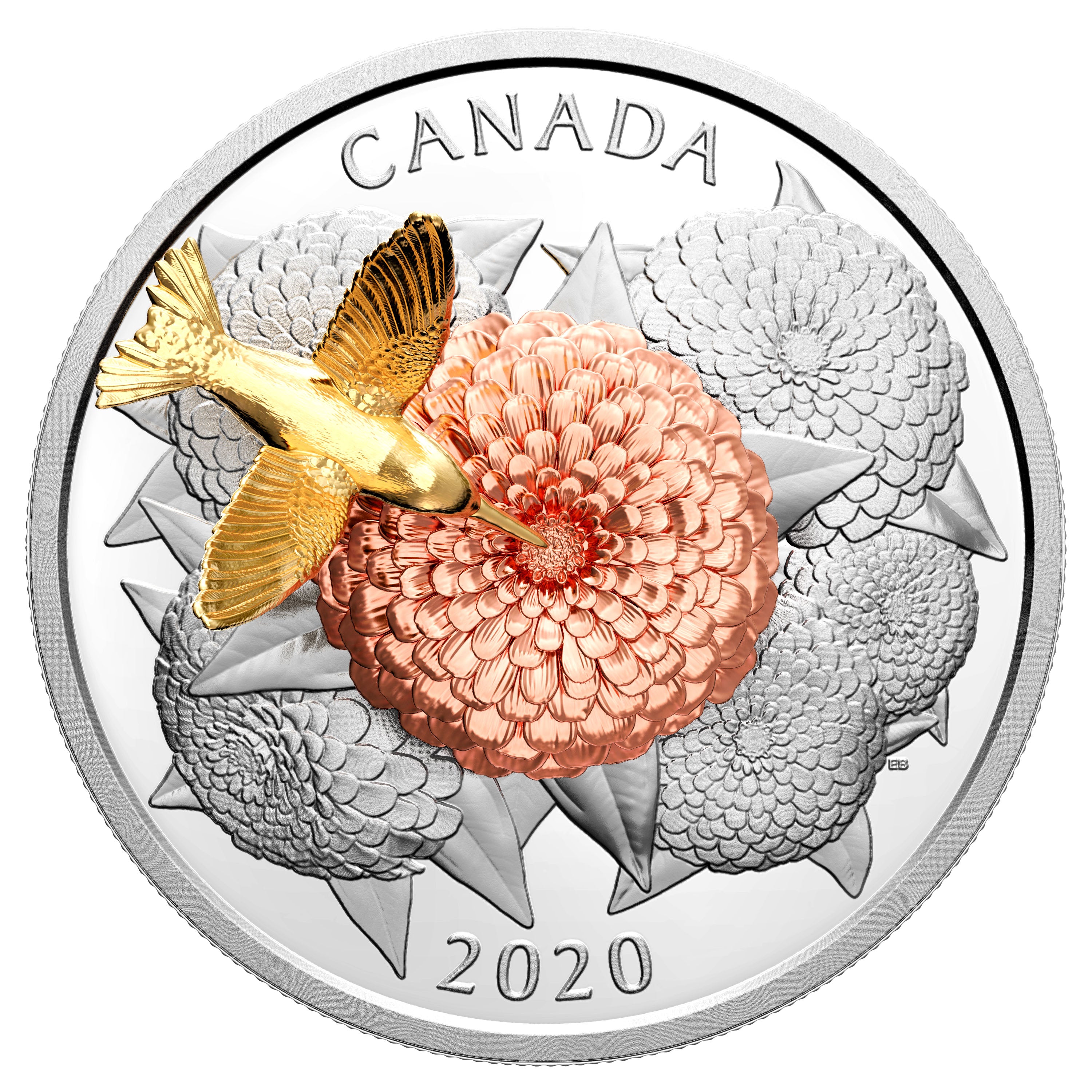 HUMMINGBIRD AND THE BLOOM 5 Oz Silver Coin $50 Canada 2020