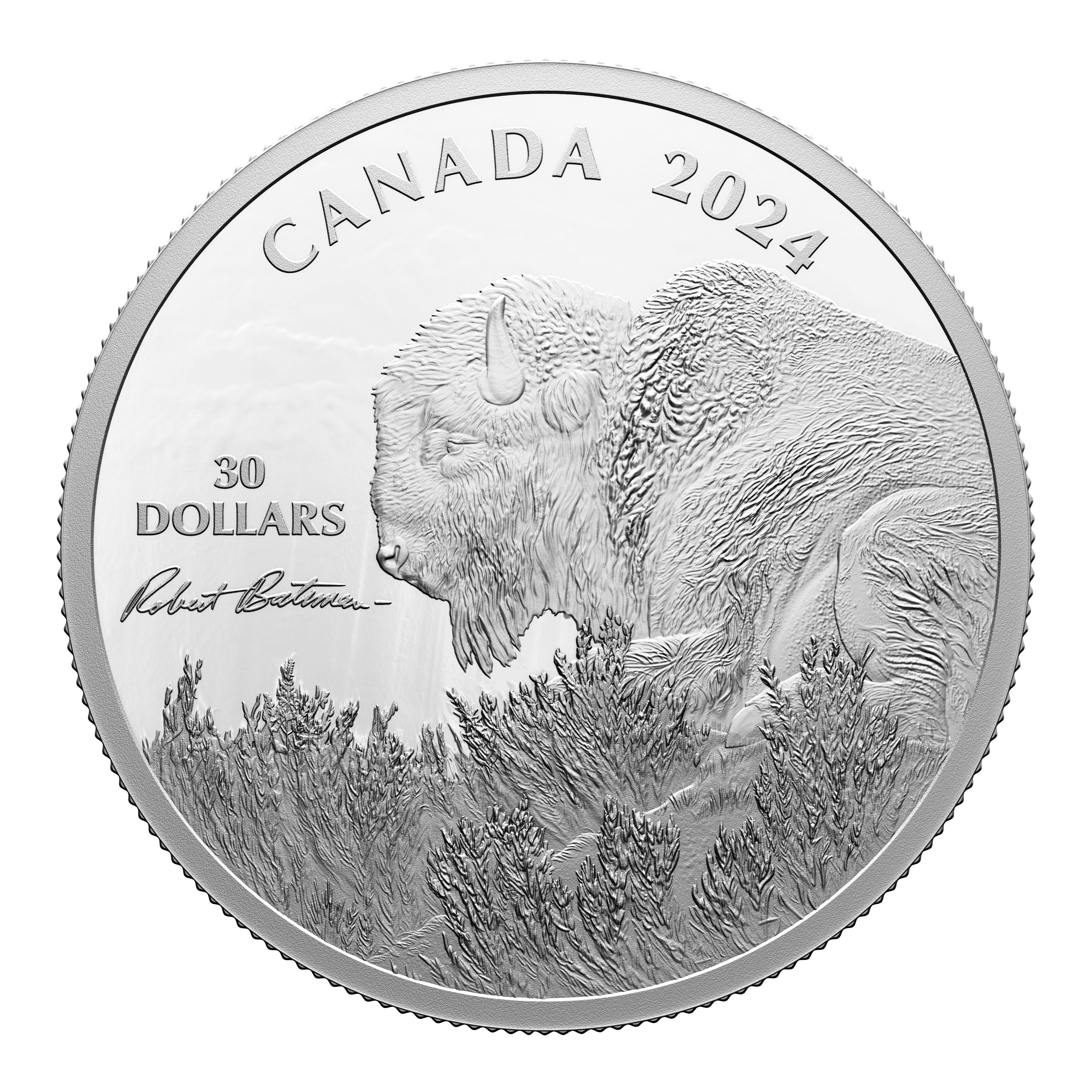 BISON Weather Watch Silver Coin $30 Canada 2024