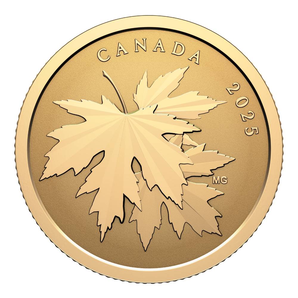 Gleaming Maple Leaves 1/4 Oz Pure Gold Coin 2025 Canada reverse - Royal Canadian Mint