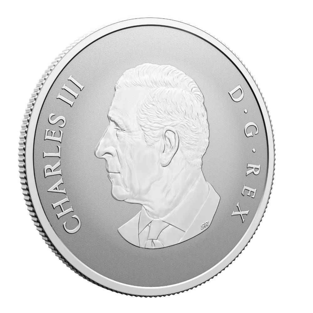 Welcome to the World Silver Coin Canada 2025 obverse oblique - Royal Canadian Mint