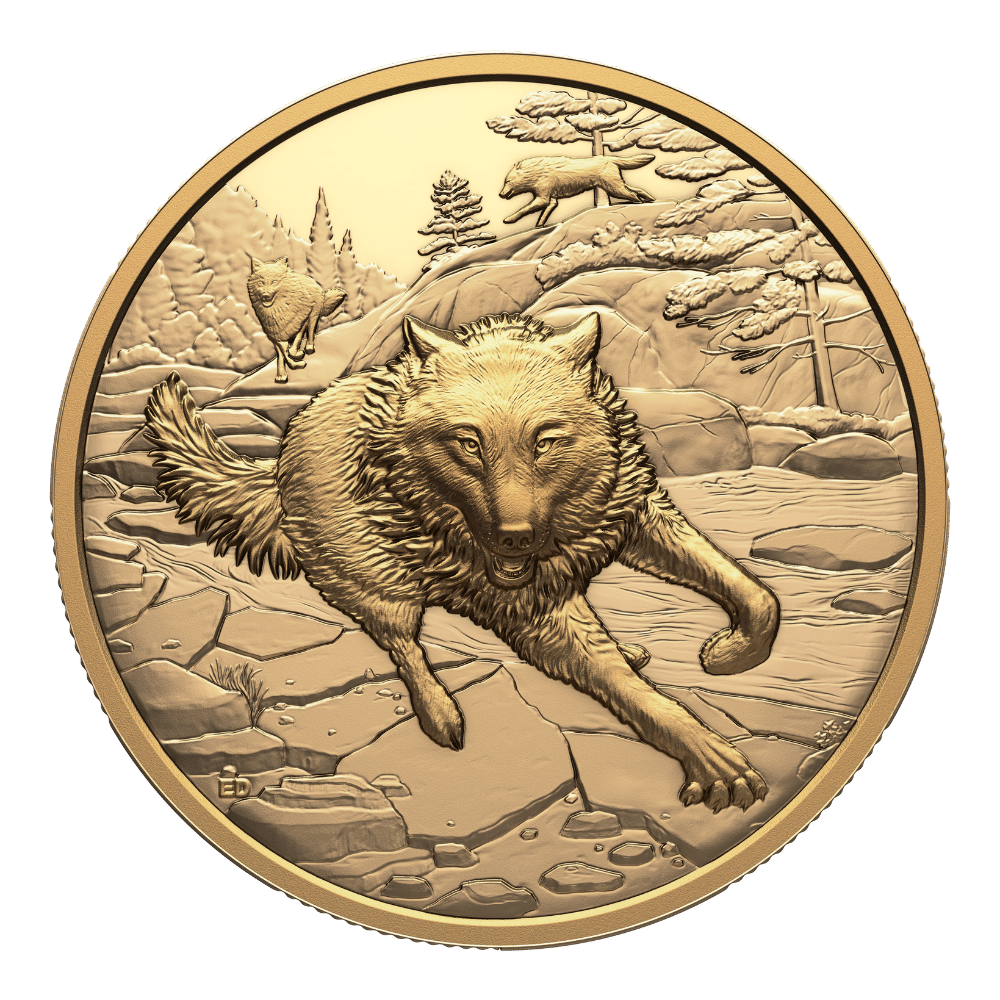 Great Hunters Grey Wolf 1 Oz Pure Gold Ultra High Relief Coin Canada 2025 reverse1 Royal Canadian Mint