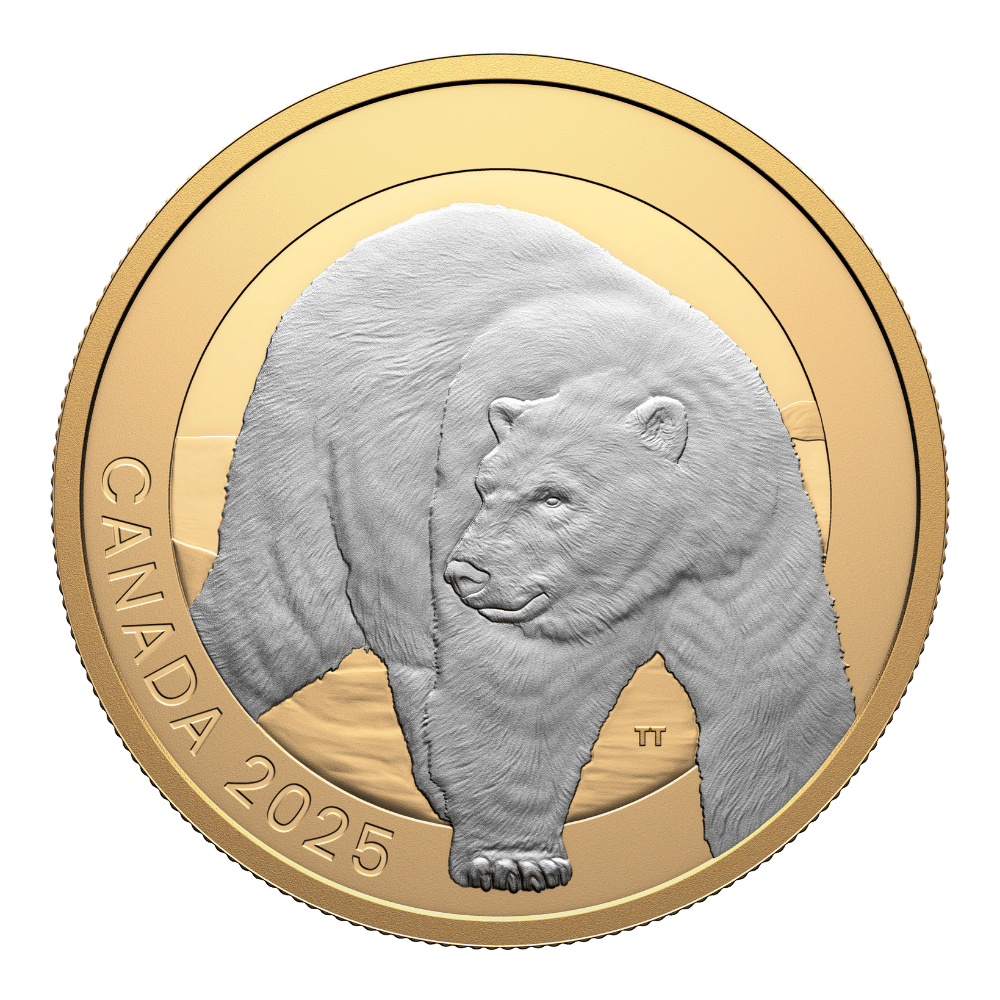 Animal Portraits Polar Bear 1 Oz Fine Silver Coin Canada 2025 reverse - Royal Canadian Mint