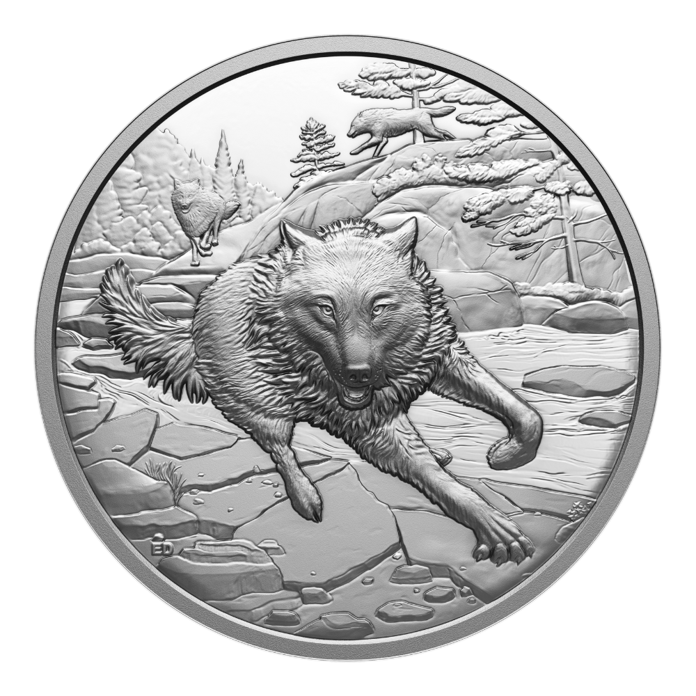 Great Hunters Grey Wolf 1 Oz Fine Silver Ultra High Relief Coin Canada 2025