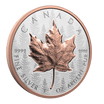 Silver Maple Leaf 1 Oz Fine Silver Coin Ultra-High Relief Coin 2025 Royal Canadian Mint