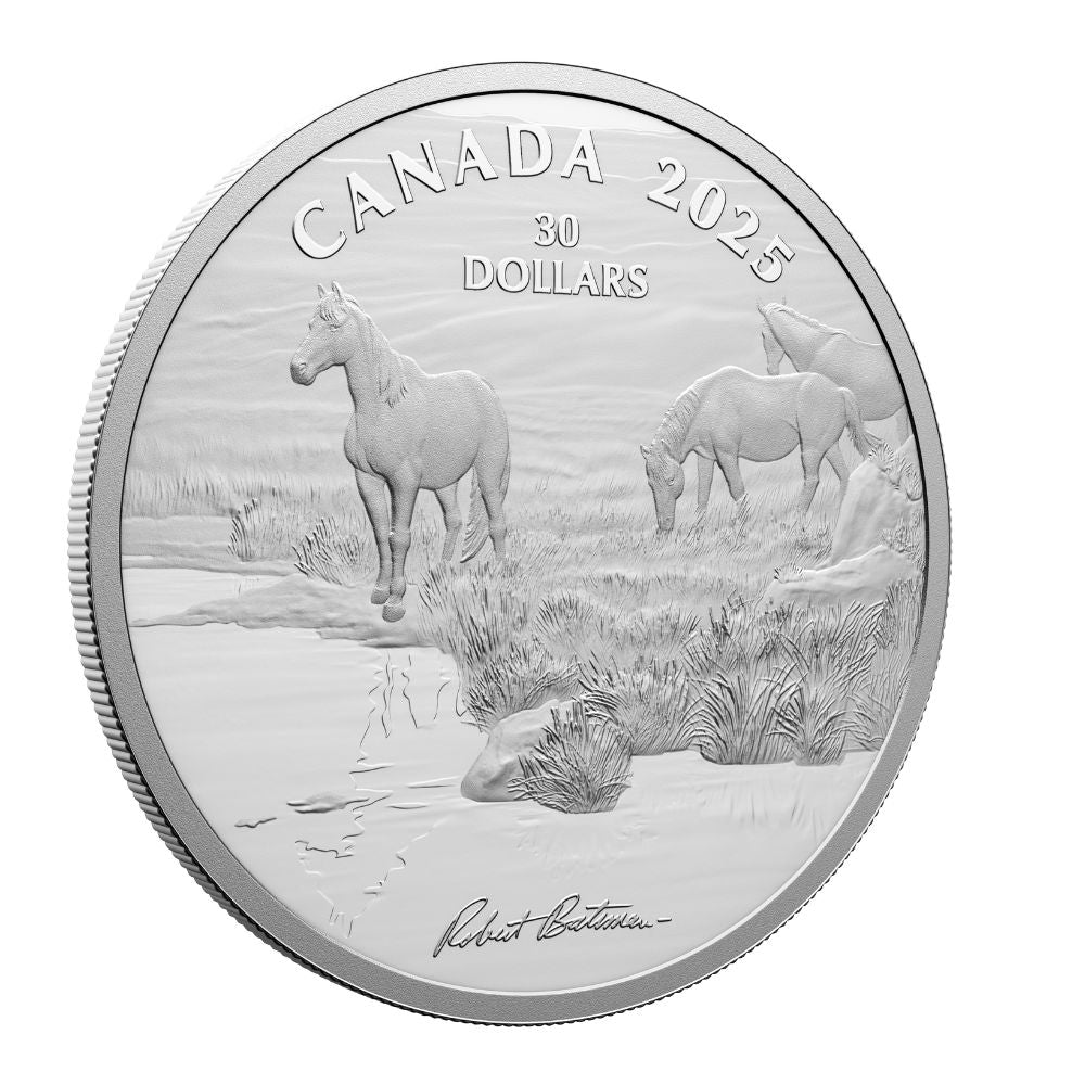 Mustang Country by Robert Bateman 2 Oz Fine Silver Coin Canada 2025 reverse oblique - Royal Canadian Mint
