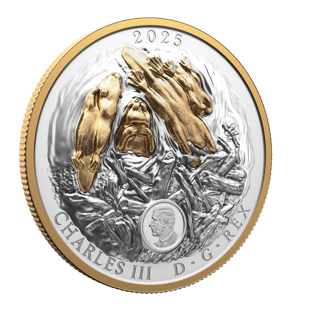 Canadian Symbol: The Beaver Fine Silver Coin Canada 2025 Royal Canadian Mint
