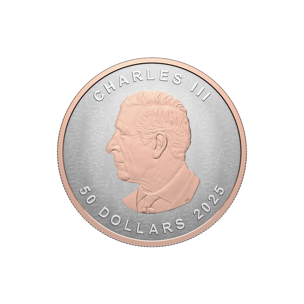 Silver Maple Leaf 5 Oz Fine Silver Coin Ultra-High Relief Coin 2025