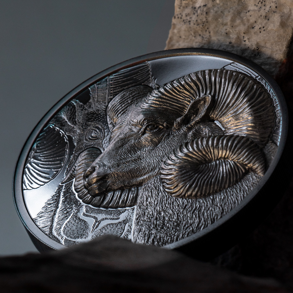 Magnificent Argali Wild Mongolia 2 Oz Silver Coin 2022