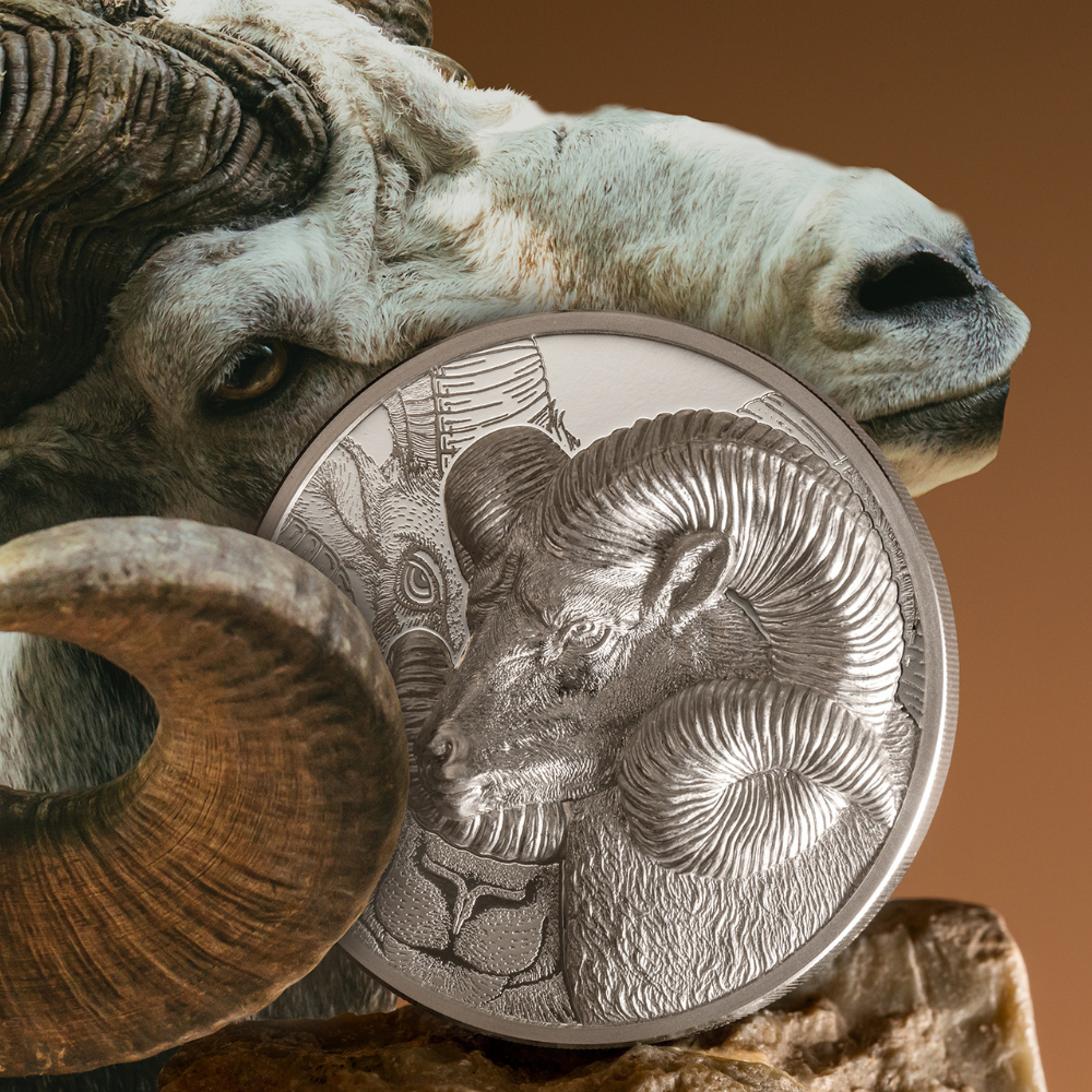 MAGNIFICENT ARGALI Wild Mongolia Ram 3 Oz Silver Coin 2000 Togrog Mongolia 2022