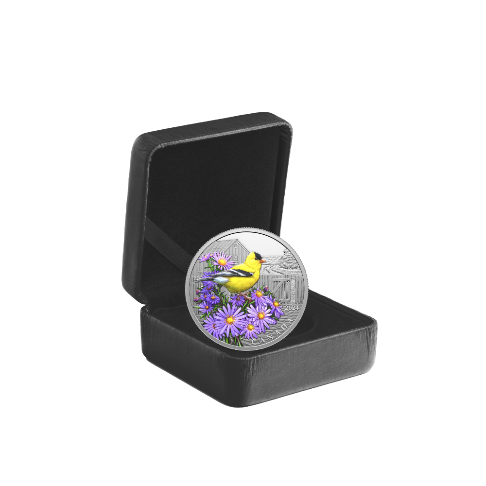 AMERICAN GOLDFINCH Colourful Birds 1 Oz Silver Coin $20 Canada 2024