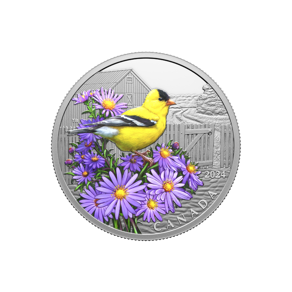 AMERICAN GOLDFINCH Colourful Birds 1 Oz Silver Coin $20 Canada 2024