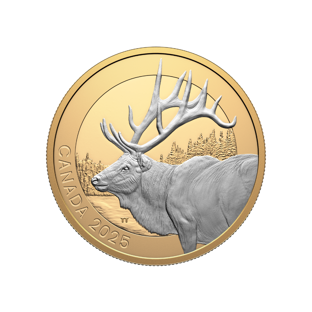 Animal Portraits Elk 1 Oz Fine Silver Coin Canada 2025