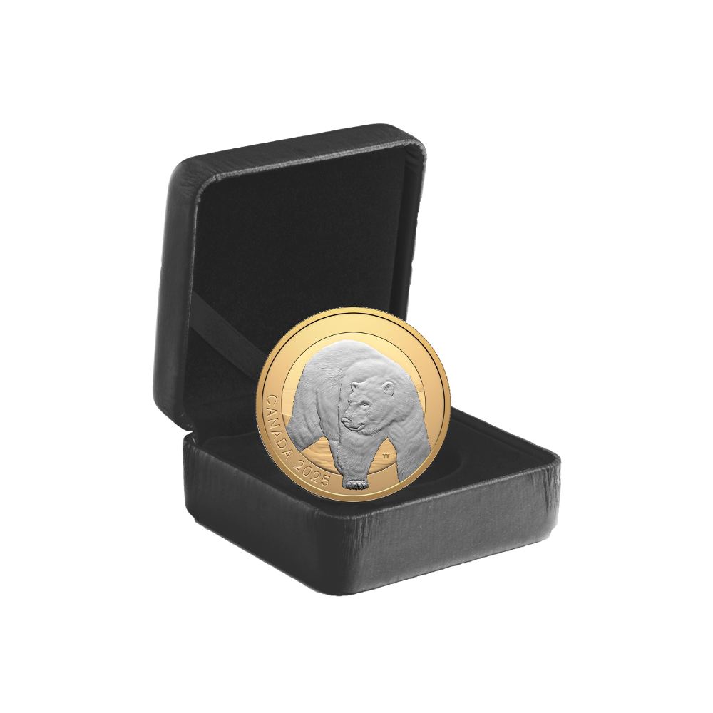 Animal Portraits Polar Bear 1 Oz Fine Silver Coin Canada 2025