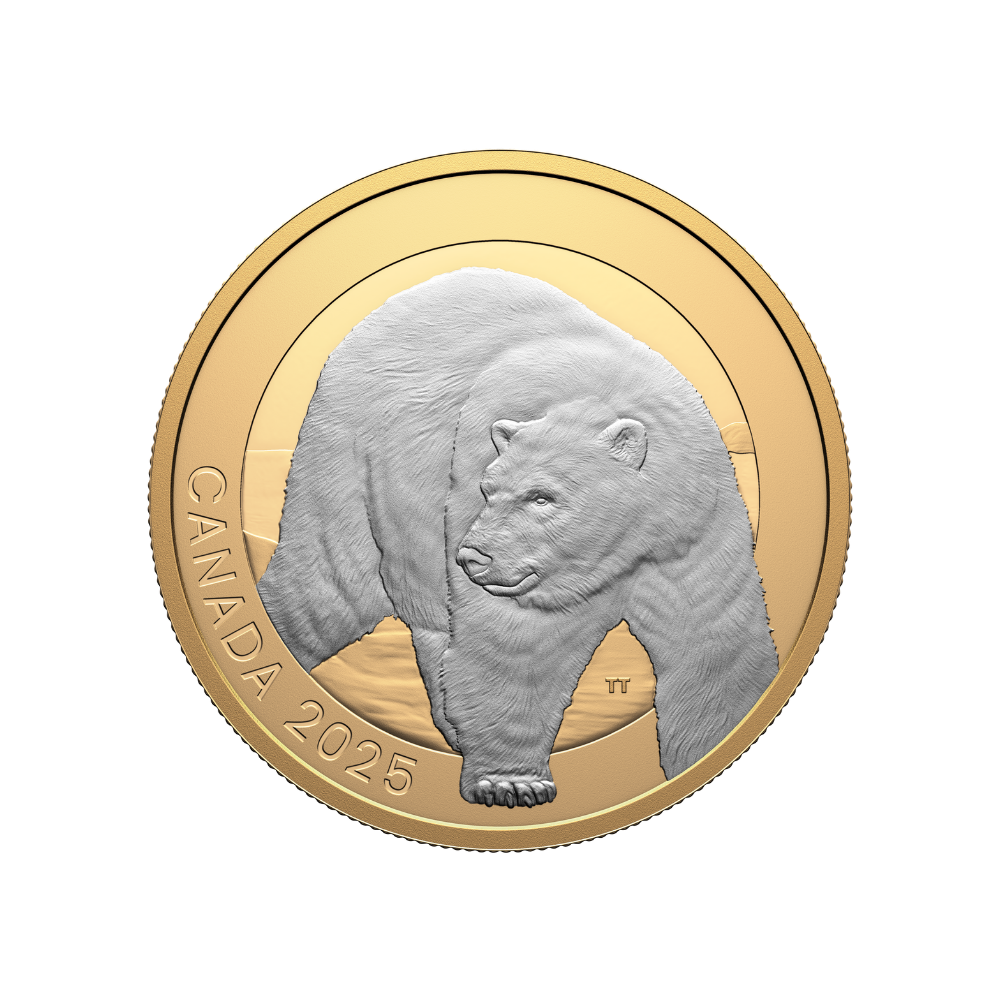 Animal Portraits Polar Bear 1 Oz Fine Silver Coin Canada 2025
