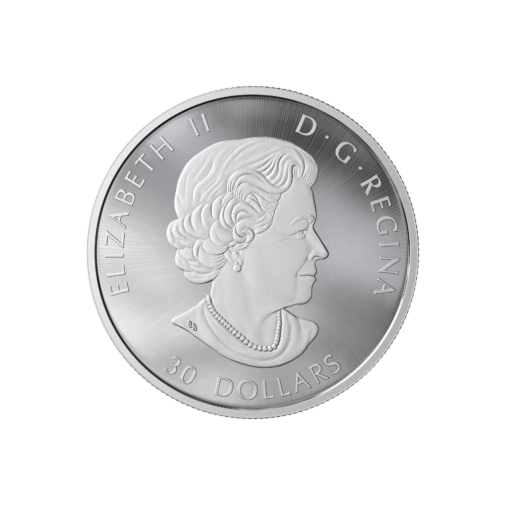 BIRDS IN THE BACKYARD 2 Oz Silver Coin $30 Canada 2019