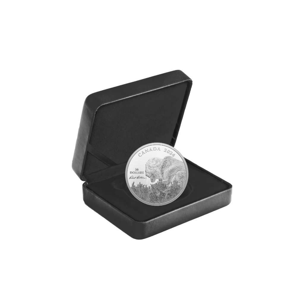 BISON Weather Watch Silver Coin $30 Canada 2024