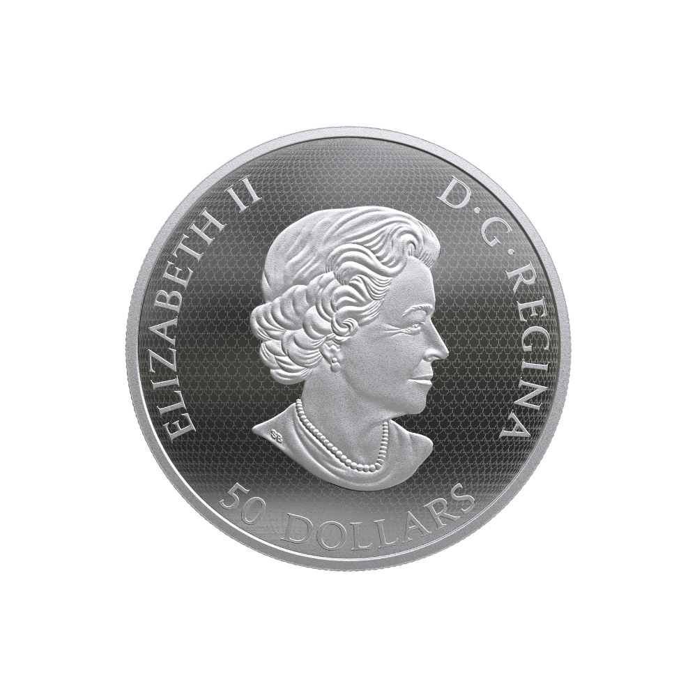 BUMBLE BEE AND BLOOM 5 Oz Silver Coin $50 Canada 2019