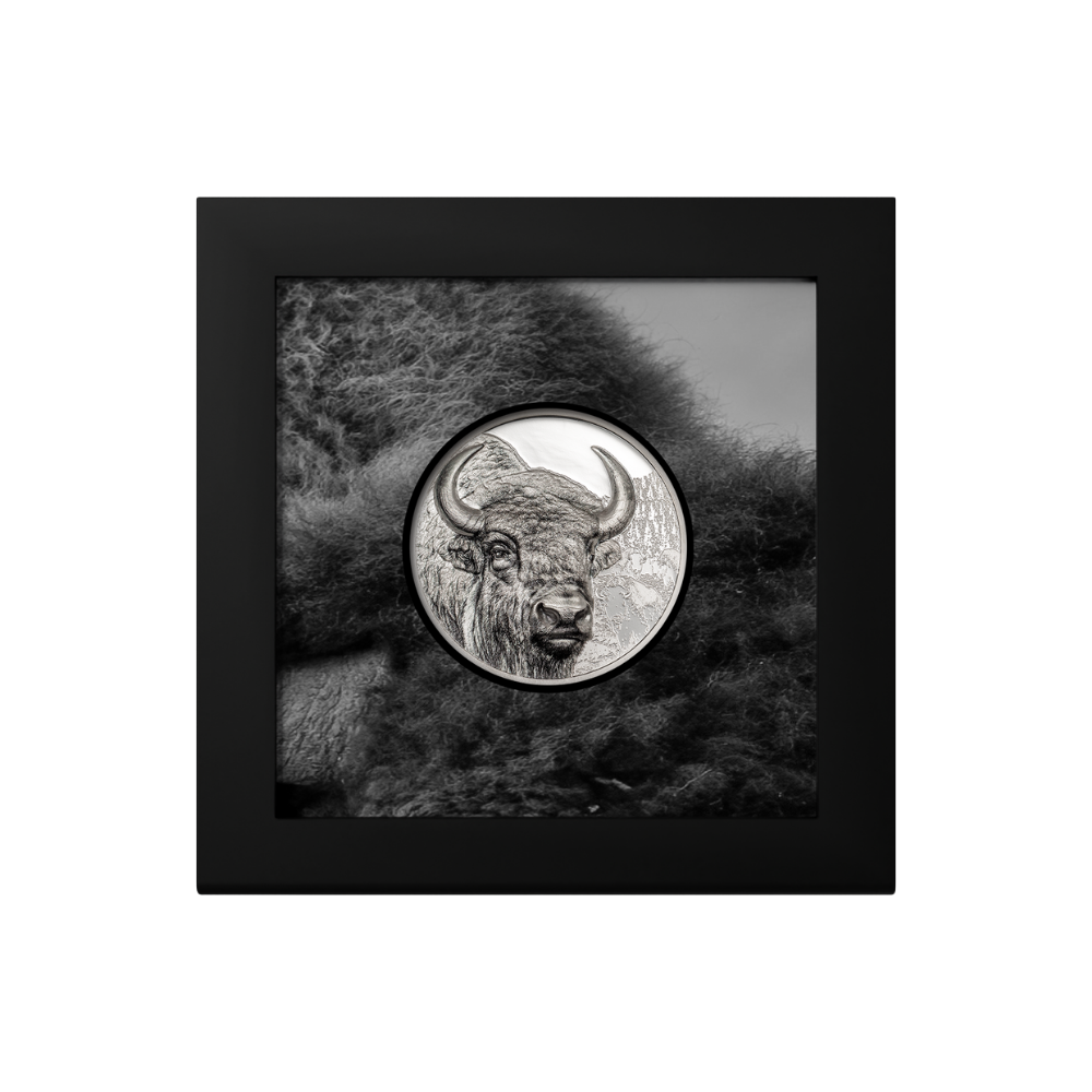 Bison Wild Mongolia 3 Oz Silver Coin 2025