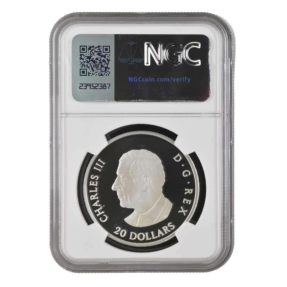 Colourful Birds: American Goldfinch 1 Oz Fine Silver Coin - PF 70 ULTRA CAMEO - Obverse