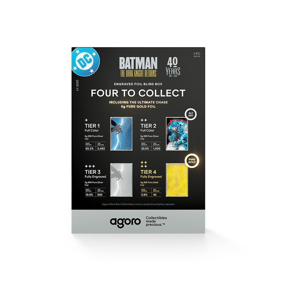 Batman: The Dark Knight Returns™ Blind Box Agoro