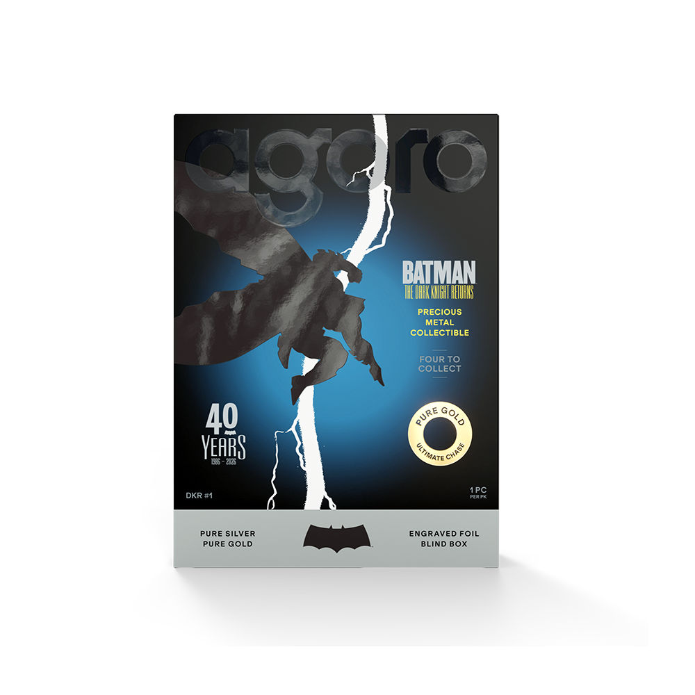 Batman: The Dark Knight Returns™ Blind Box Agoro