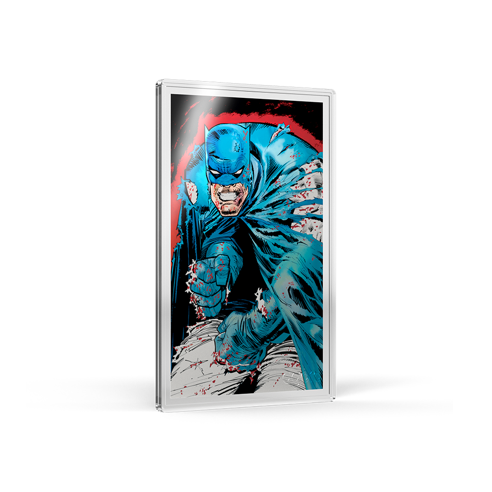 Batman: The Dark Knight Returns™ Blind Box Agoro