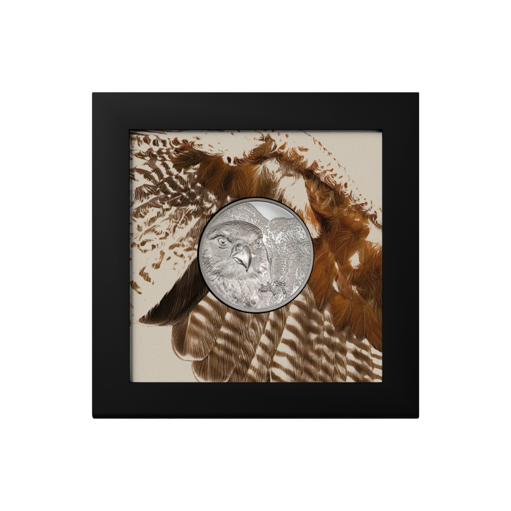 Falcon Wild Mongolia 1 Oz Silver Coin 2023