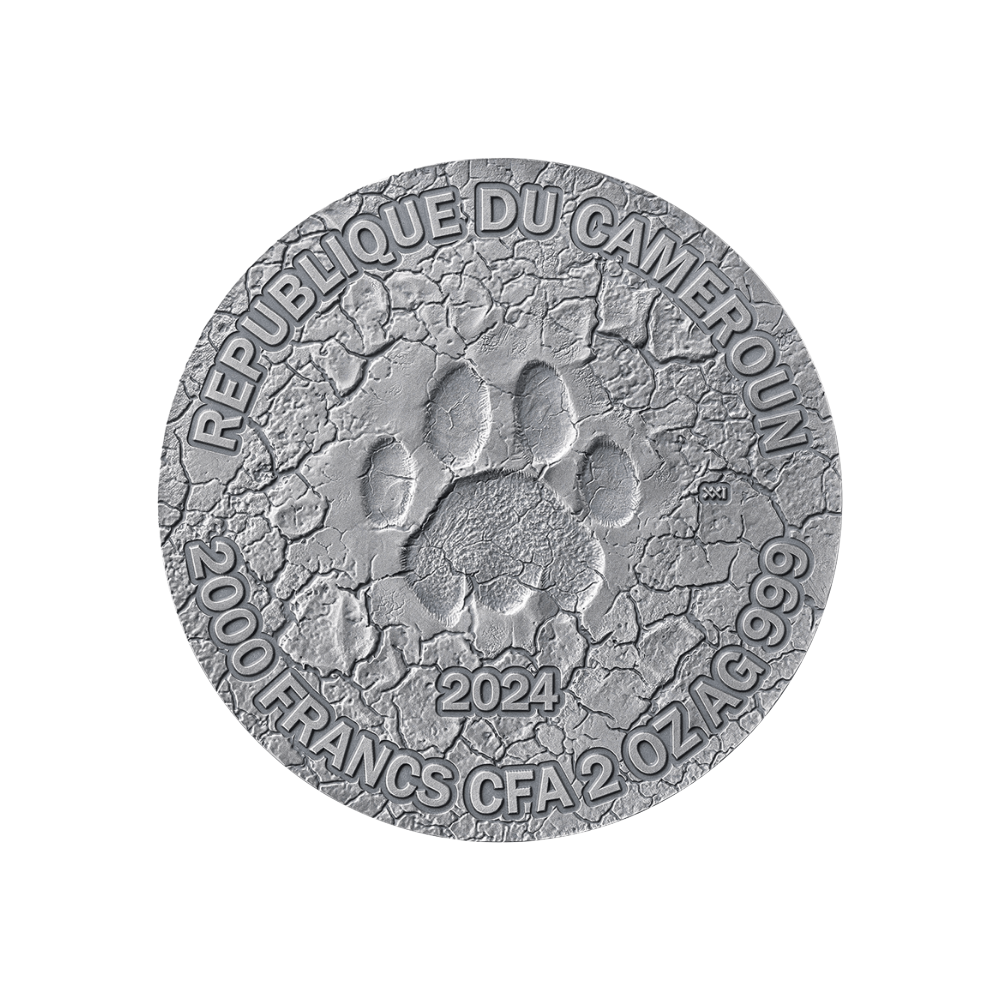 GRACE OF LIONESS Circle of Life 2 Oz Silver Coin 2000 Francs CFA Cameroon 2024