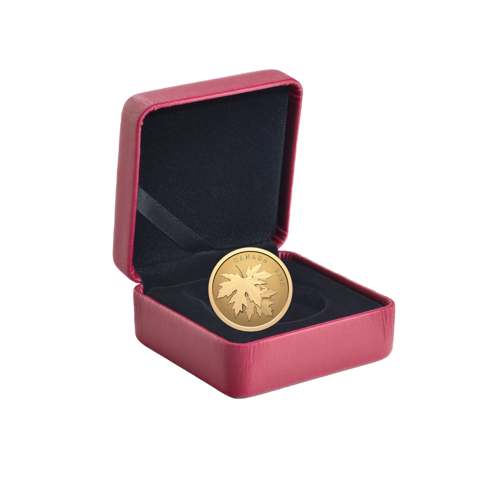 Gleaming Maple Leaves 1/4 Oz Pure Gold Coin 2025 Canada