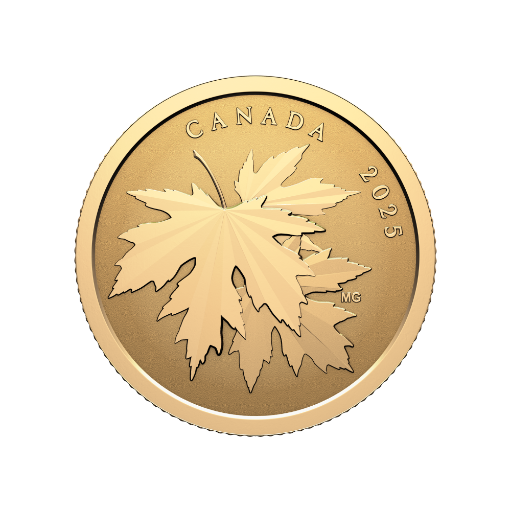 Gleaming Maple Leaves 1/4 Oz Pure Gold Coin 2025 Canada