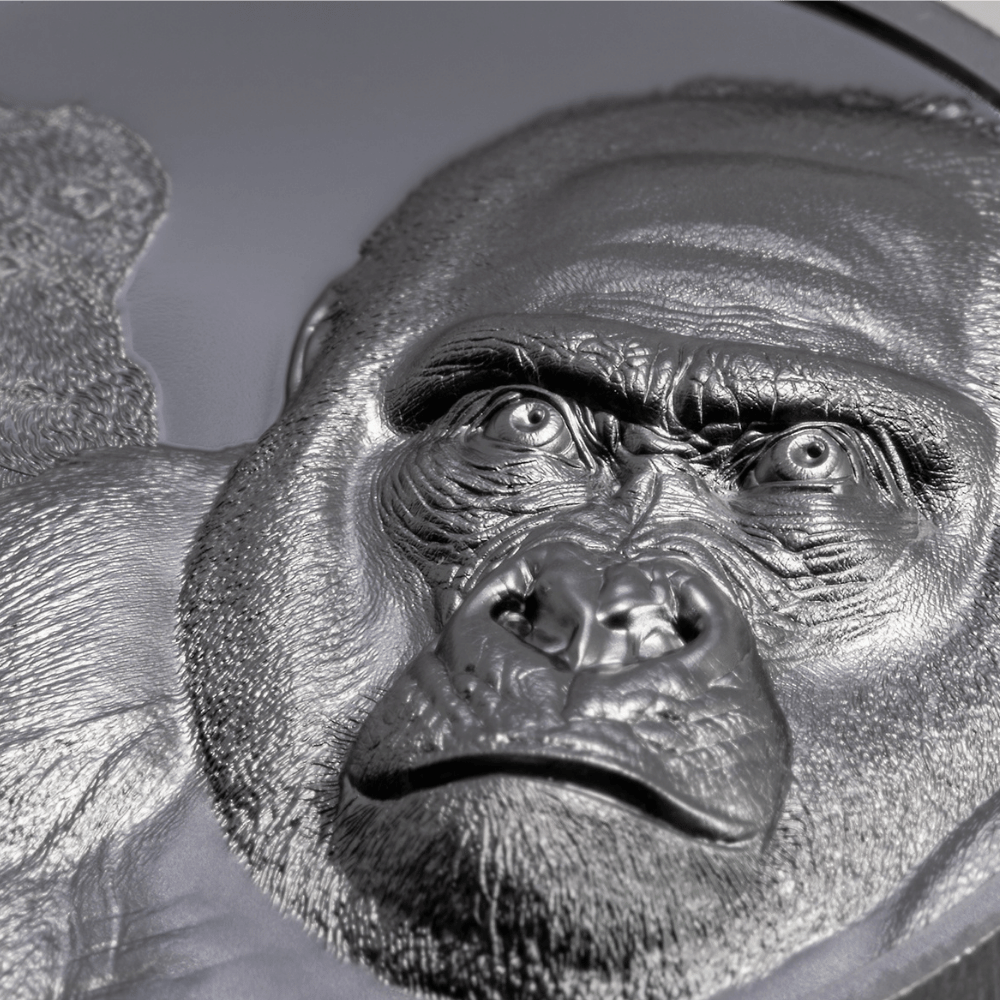 Gorilla Growing Up 2 Oz Silver Coin 2024