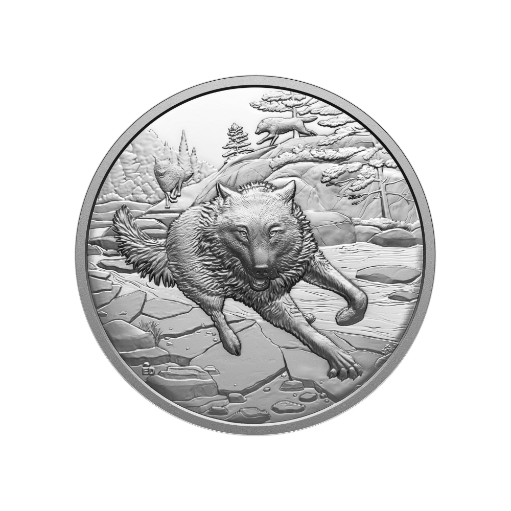 Great Hunters Grey Wolf 1 Oz Fine Silver Ultra High Relief Coin Canada 2025