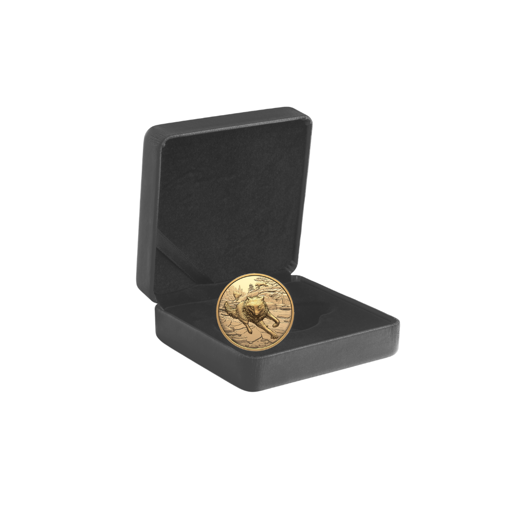 Great Hunters Grey Wolf 1 Oz Pure Gold Ultra High Relief Coin Canada 2025