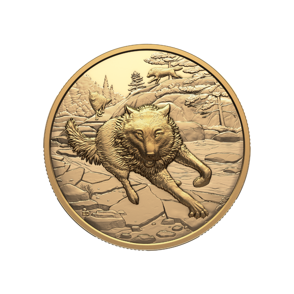 Great Hunters Grey Wolf 1 Oz Pure Gold Ultra High Relief Coin Canada 2025