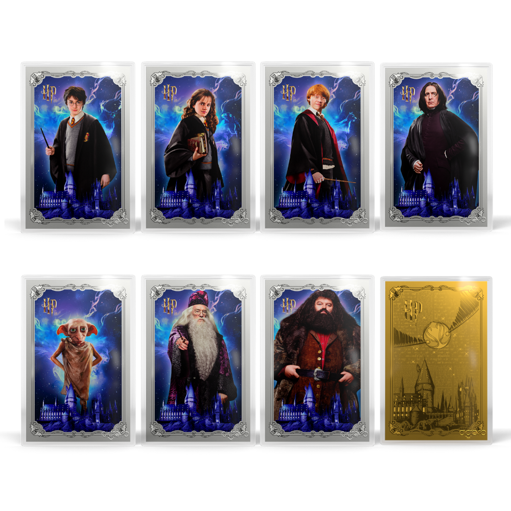 HARRY POTTER™ 25 Years of Magic Blind Box Agoro