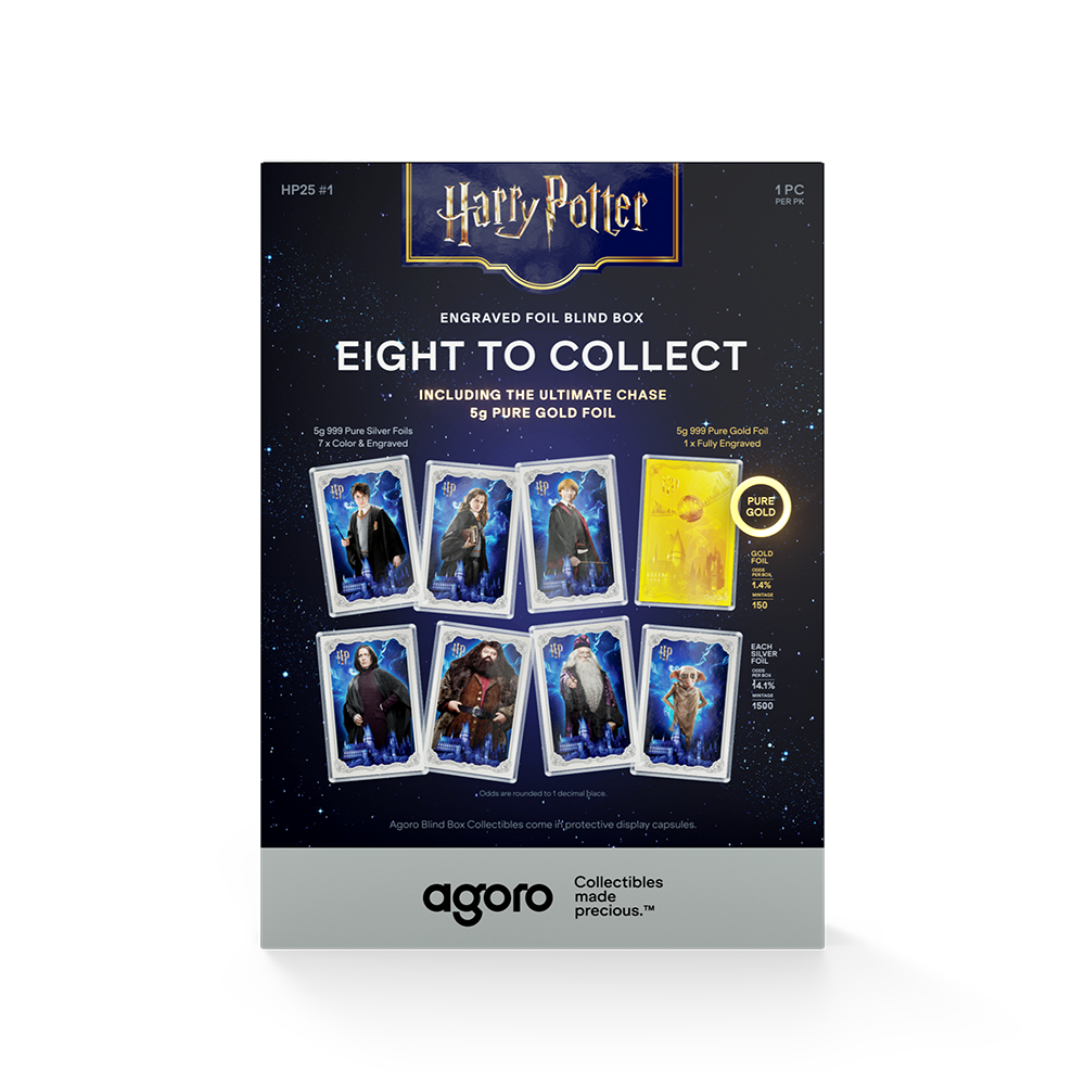 HARRY POTTER™ 25 Years of Magic Blind Box Agoro