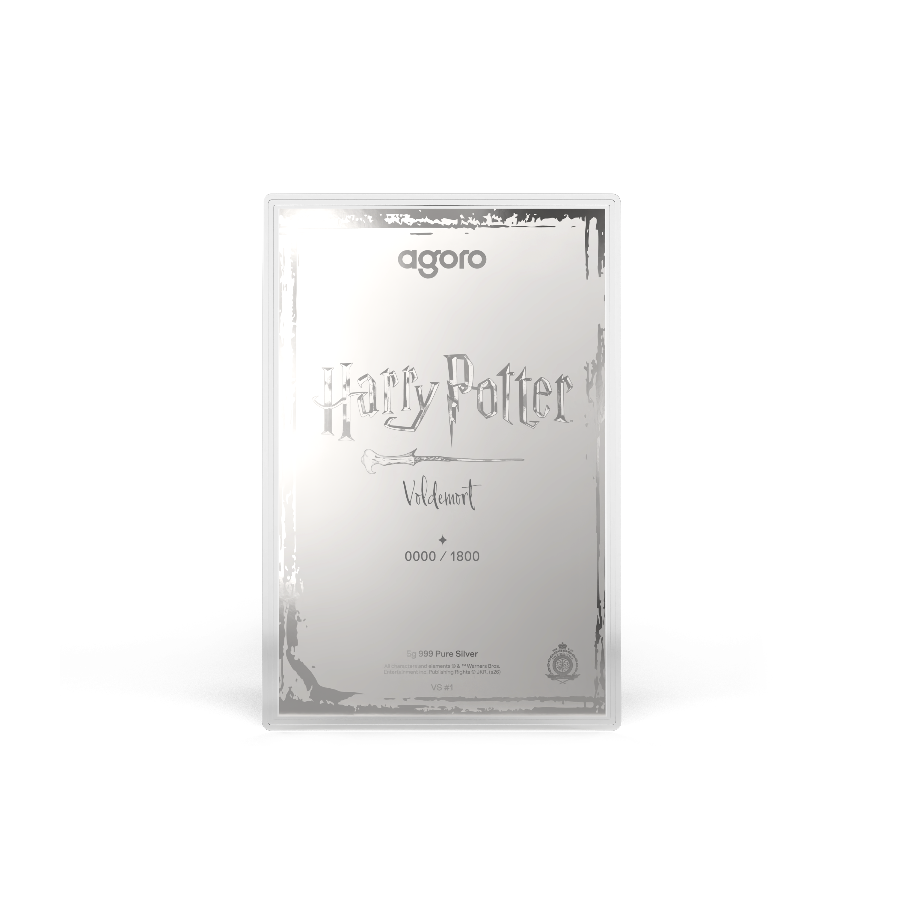 HARRY POTTER™ VS Voldemort Blind Box Agoro