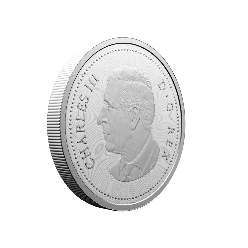 Multilayered Beaver Fine Silver Coin Canada 2025