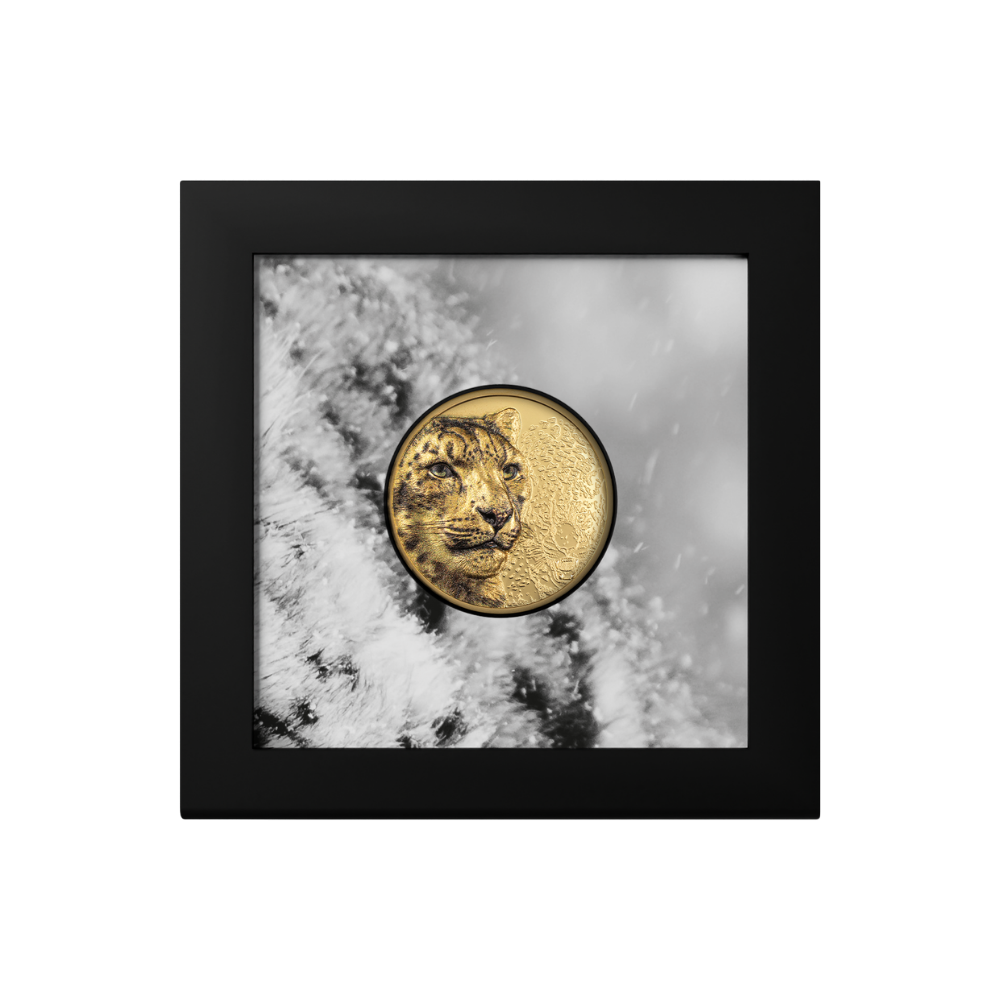 Snow Leopard Wild Mongolia 1 Oz Gold Coin 2024