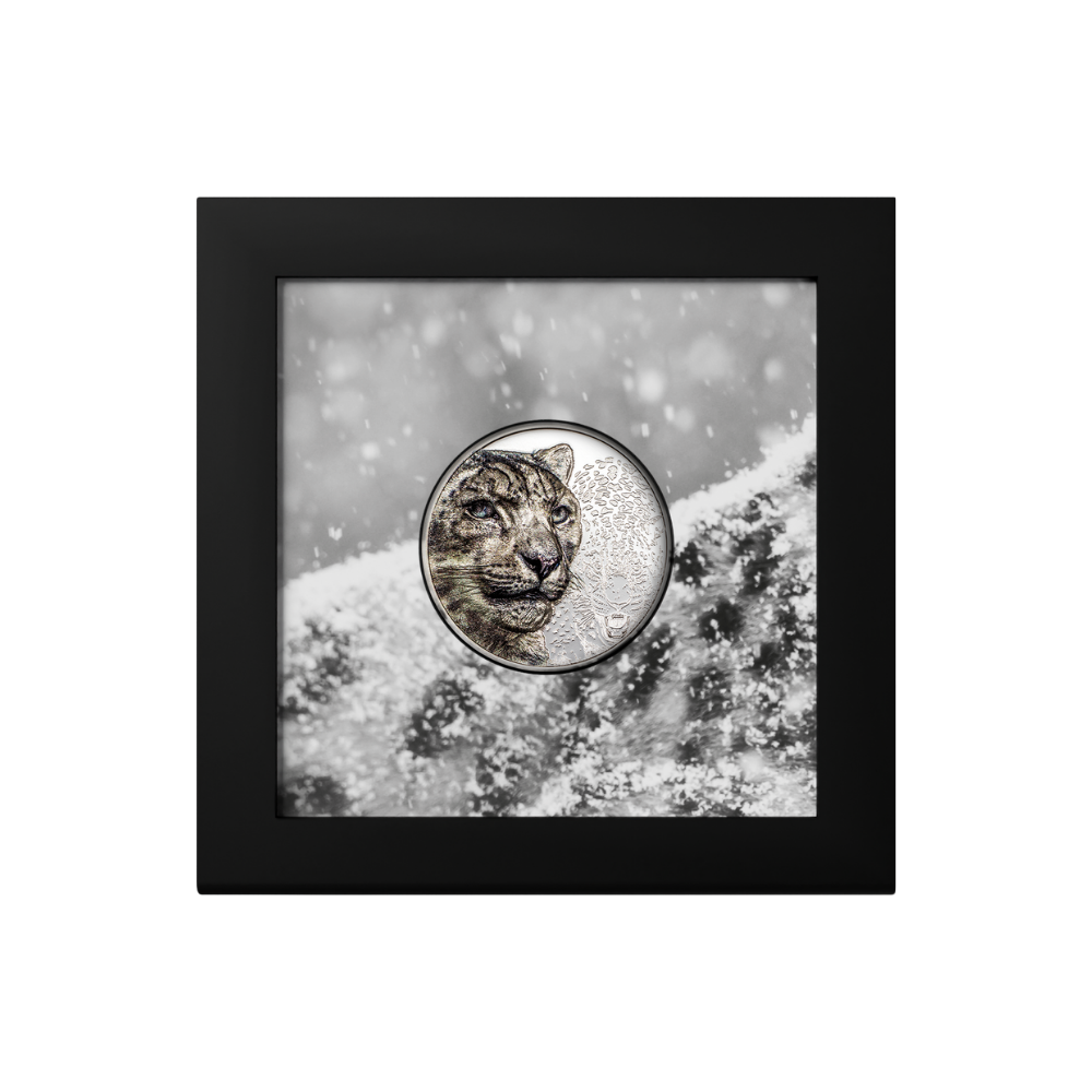 Snow Leopard Wild Mongolia 1 Oz Silver Coin 2024