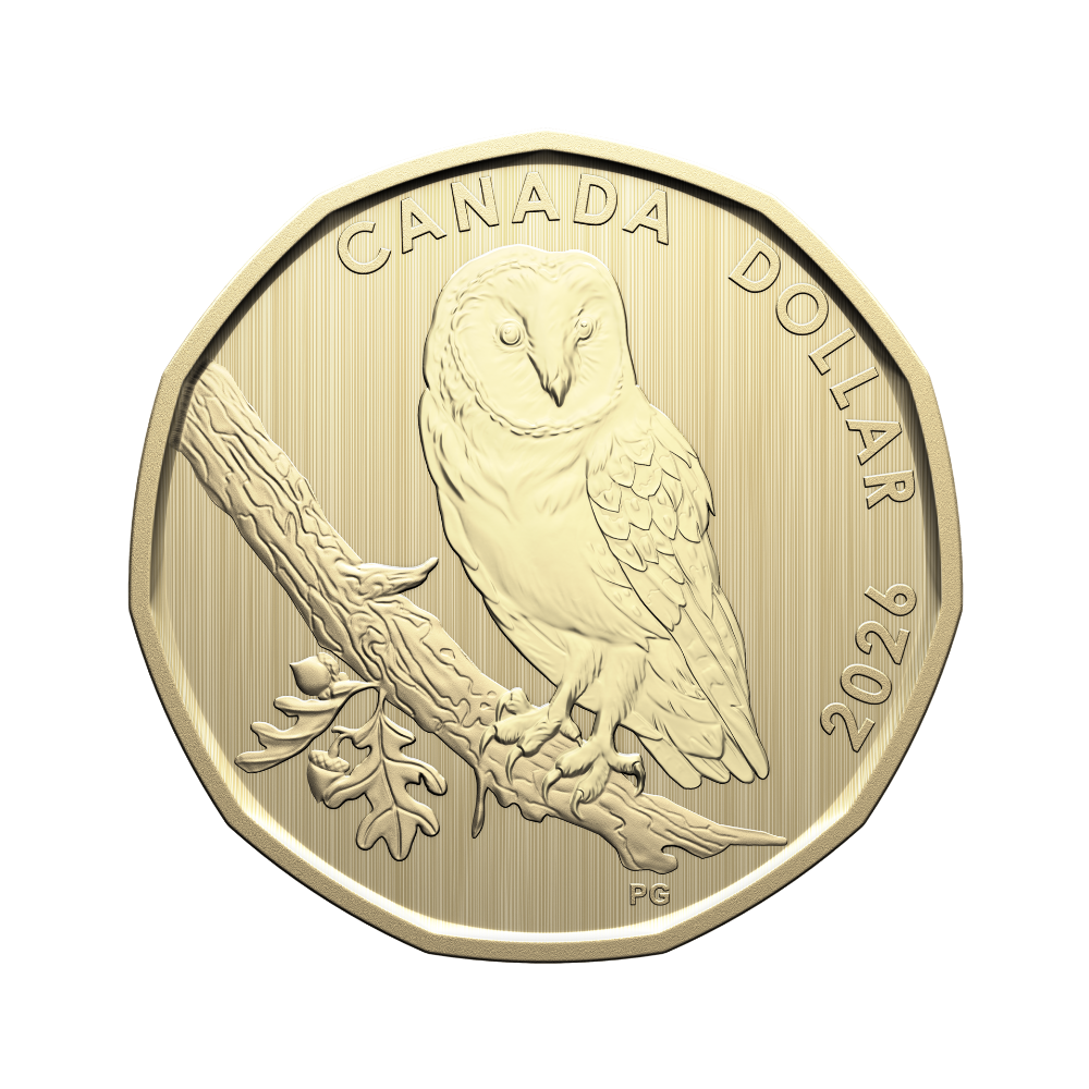 Specimen Set Barn Owl 2026