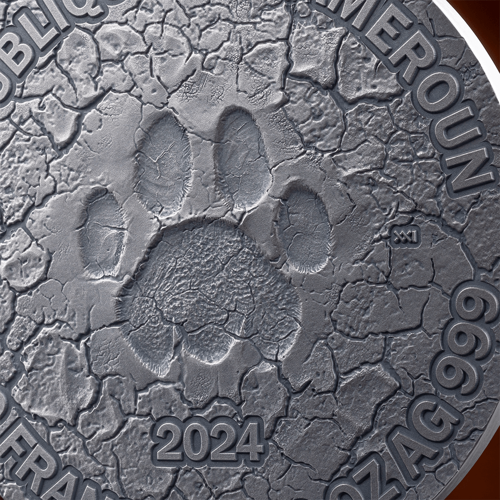GRACE OF LIONESS Circle of Life 2 Oz Silver Coin 2000 Francs CFA Cameroon 2024 - PARTHAVA COIN