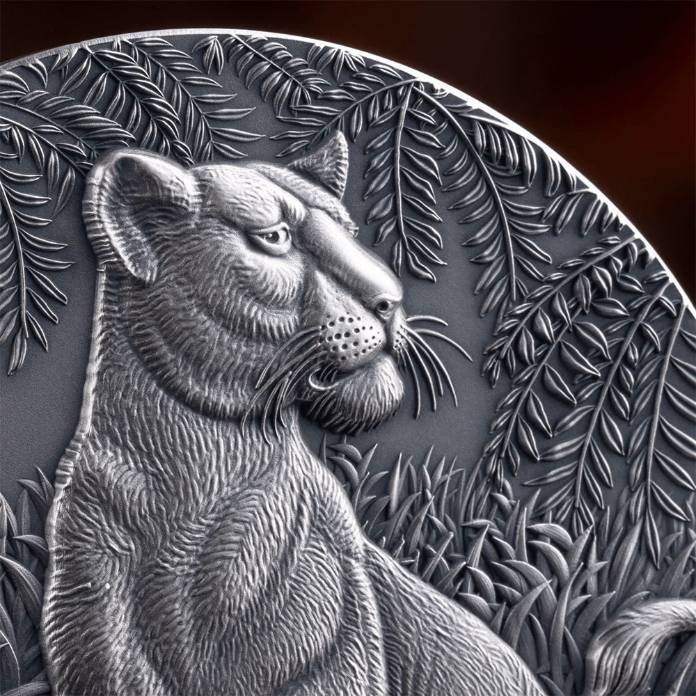 GRACE OF LIONESS Circle of Life 2 Oz Silver Coin 2000 Francs CFA Cameroon 2024 - PARTHAVA COIN