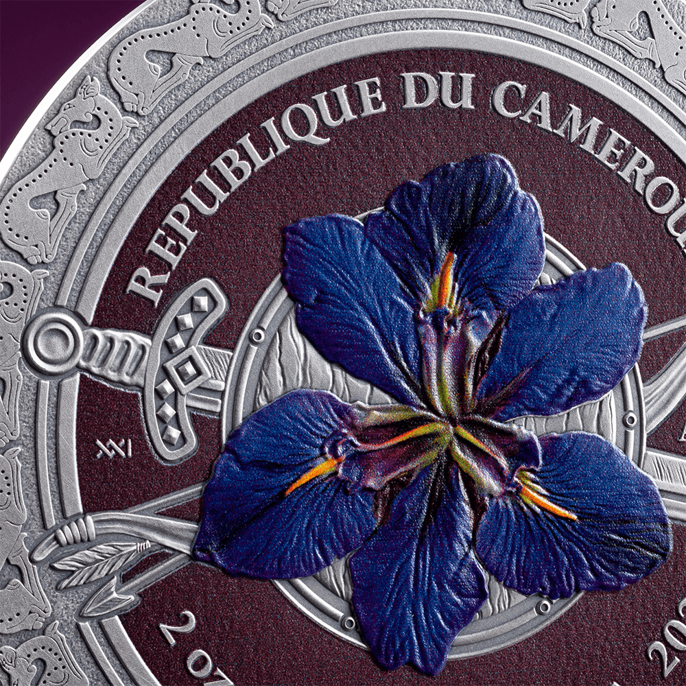 SARMATIANS Femina Bellator 2 Oz Silver Coin 2000 Francs Cameroon 2024 - PARTHAVA COIN