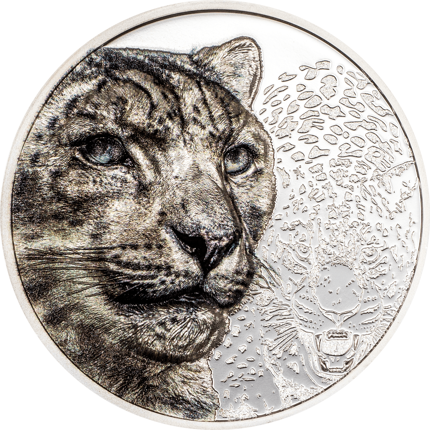 SNOW LEOPARD Wild Mongolia 1 Oz Silver Coin 500 Togrog Mongolia 2024