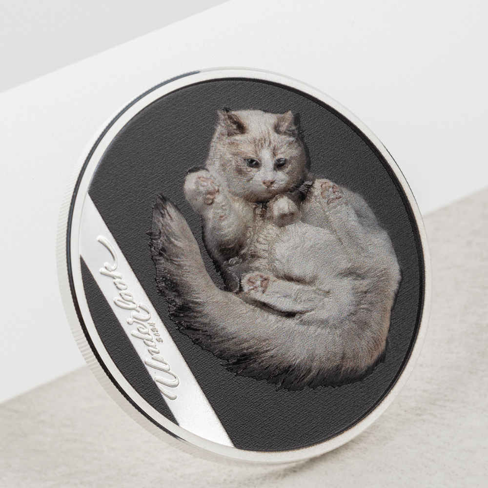 UNDER CAT Underlook 1 Oz Silver Coin $5 Cook Islands 2024 - PARTHAVA COIN