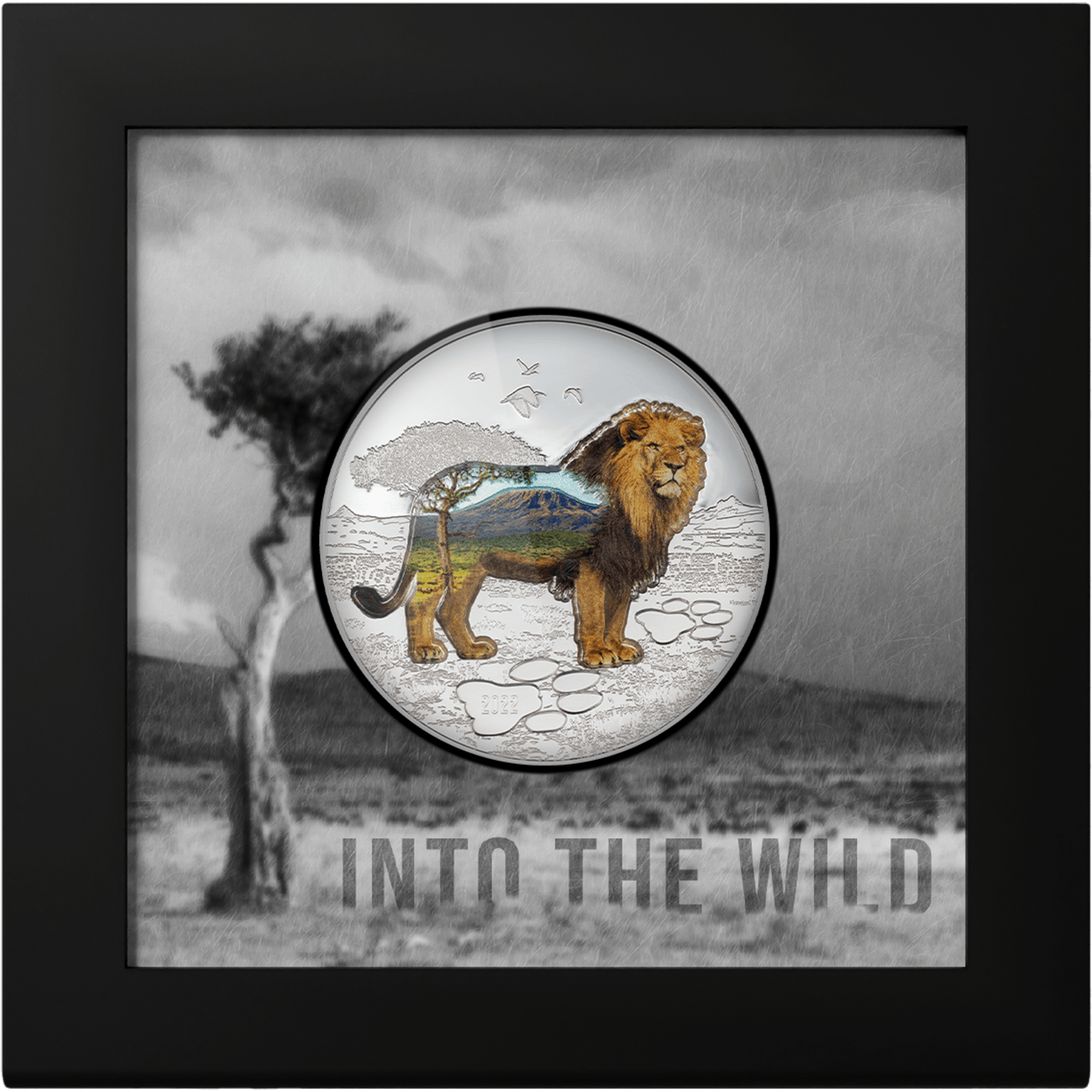 LION Into The Wild 2 Oz Silver Coin 1000 Togrog Mongolia 2022 - PARTHAVA COIN