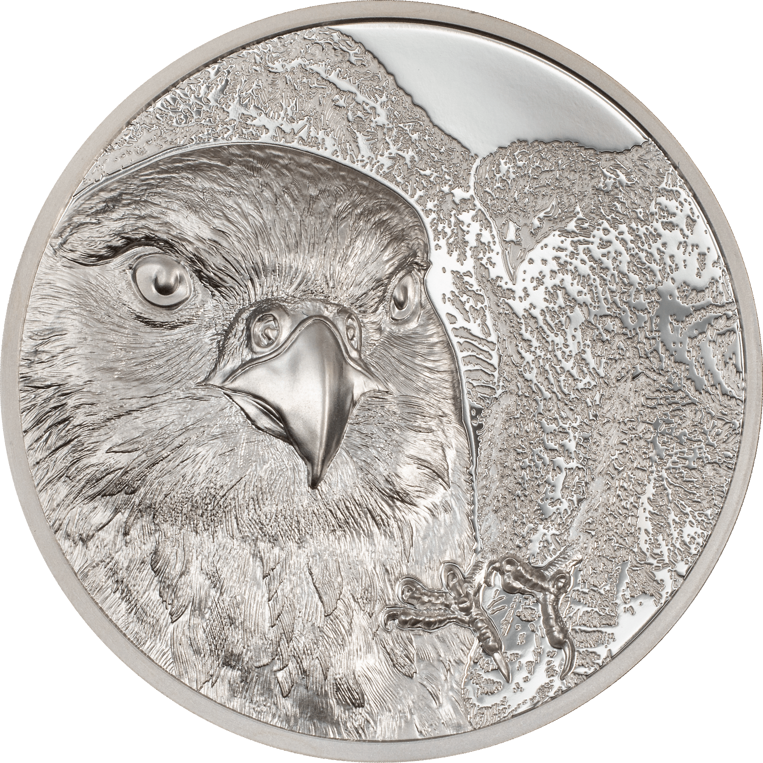 FALCON Wild Mongolia 1 Oz Silver Coin 500 Togrog Mongolia 2023 - PARTHAVA COIN