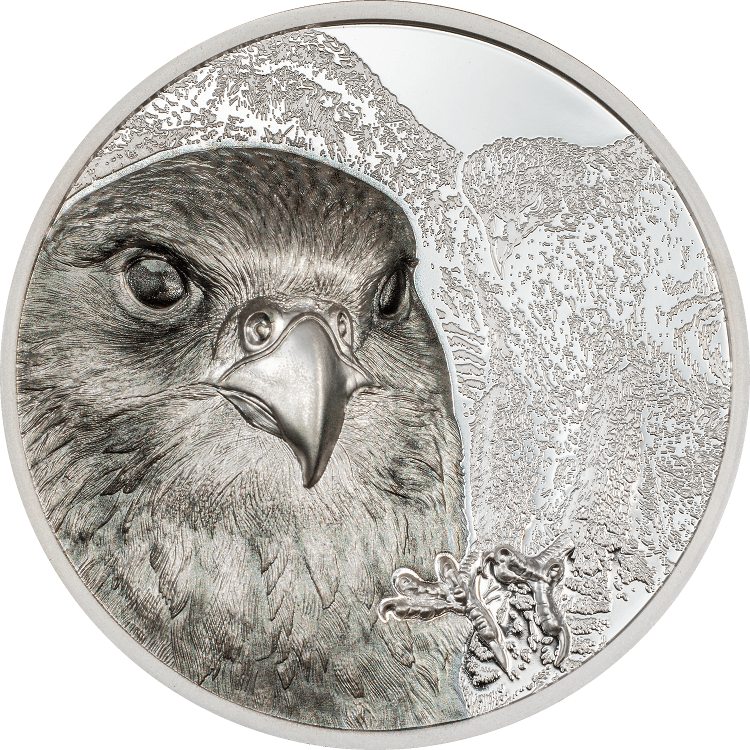 FALCON Wild Mongolia 3 Oz Silver Coin 2000 Togrog Mongolia 2023 - PARTHAVA COIN